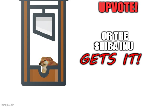 UPVOTE NOW! | UPVOTE! OR THE SHIBA INU; GETS IT! | image tagged in shiba inu,upvote,this tag is not important | made w/ Imgflip meme maker