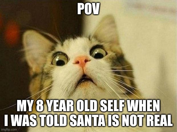 Scared Cat | POV; MY 8 YEAR OLD SELF WHEN I WAS TOLD SANTA IS NOT REAL | image tagged in memes,scared cat | made w/ Imgflip meme maker