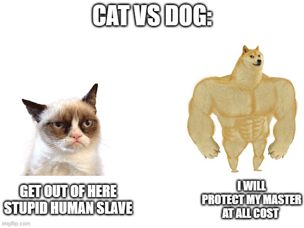 true | CAT VS DOG:; GET OUT OF HERE STUPID HUMAN SLAVE; I WILL PROTECT MY MASTER AT ALL COST | image tagged in azaz | made w/ Imgflip meme maker