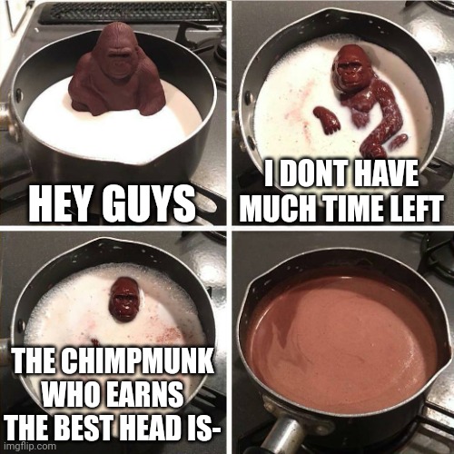 THE BEST HEAD IS | HEY GUYS; I DONT HAVE MUCH TIME LEFT; THE CHIMPMUNK WHO EARNS THE BEST HEAD IS- | image tagged in chocolate gorilla | made w/ Imgflip meme maker