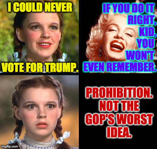 I'm saying prohibition one day in November every two years. | I COULD NEVER
 
 
 
 
VOTE FOR TRUMP. IF YOU DO IT 
RIGHT,
KID,
YOU 
WON'T 
EVEN REMEMBER. PROHIBITION.
NOT THE
GOP'S WORST
IDEA. | image tagged in memes,alcohol,prohibition | made w/ Imgflip meme maker