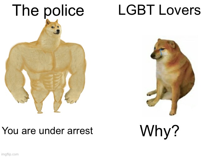 The police LGBT Lovers You are under arrest Why? | image tagged in memes,buff doge vs cheems | made w/ Imgflip meme maker
