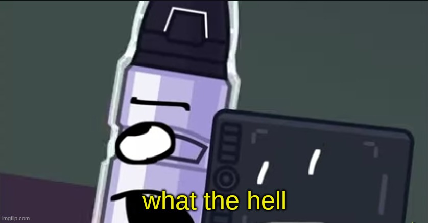 what the hell | image tagged in what the hell | made w/ Imgflip meme maker