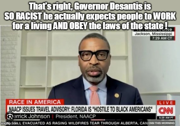 Imagine if this thinking caught on ? How would Dems get elected ? | That's right, Governor Desantis is SO RACIST he actually expects people to WORK for a living AND OBEY the laws of the state ! | image tagged in 22 billion dollar surplus no state income tax | made w/ Imgflip meme maker