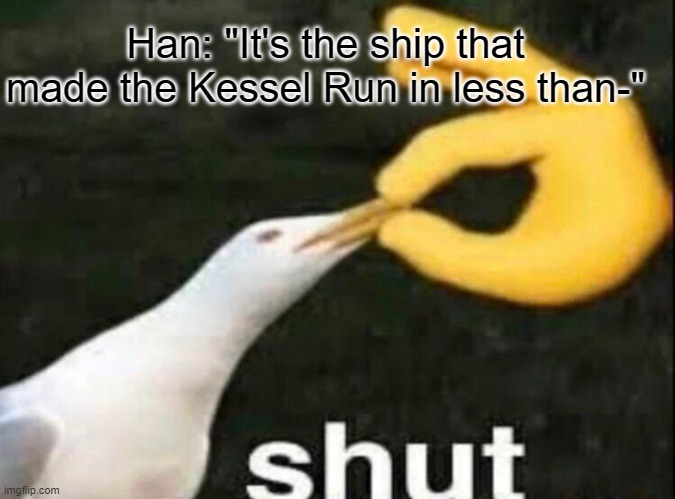 You've only mentioned it 5,247 times | Han: "It's the ship that made the Kessel Run in less than-" | image tagged in shut | made w/ Imgflip meme maker