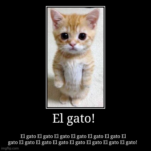 El gato! | El gato El gato El gato El gato El gato El gato El gato El gato El gato El gato El gato El gato El gato El gato! | image tagged in funny,demotivationals | made w/ Imgflip demotivational maker