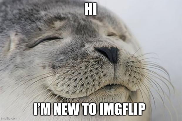 I hope to fit in with all of you! | HI; I’M NEW TO IMGFLIP | image tagged in memes,satisfied seal | made w/ Imgflip meme maker