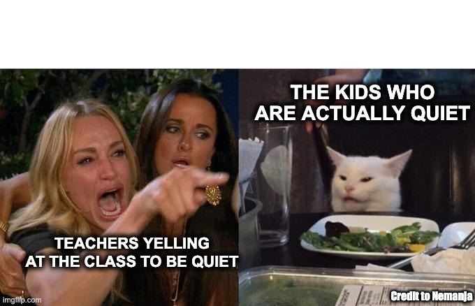 Teachers: | THE KIDS WHO ARE ACTUALLY QUIET; TEACHERS YELLING AT THE CLASS TO BE QUIET; Credit to Nemanja | image tagged in memes,woman yelling at cat | made w/ Imgflip meme maker