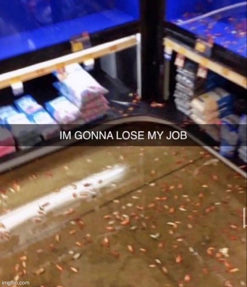 he just saved them from drowning | made w/ Imgflip meme maker