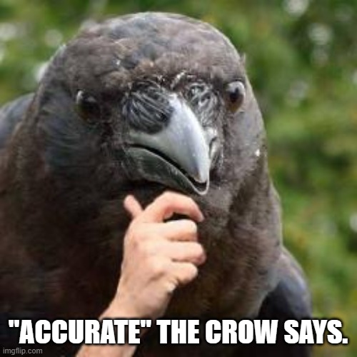 Seems Accurate | "ACCURATE" THE CROW SAYS. | image tagged in seems accurate | made w/ Imgflip meme maker