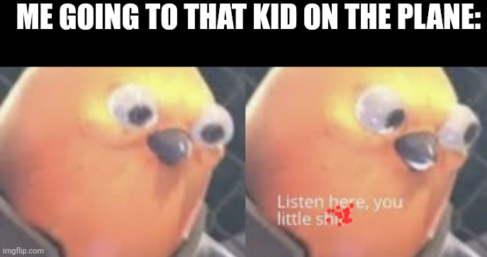 Listen here you little shit bird | ME GOING TO THAT KID ON THE PLANE: | image tagged in listen here you little shit bird | made w/ Imgflip meme maker