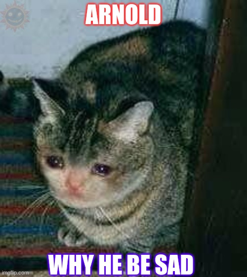Arnold | ARNOLD; WHY HE BE SAD | image tagged in arnold,arnold meme,funny cat memes,hamster | made w/ Imgflip meme maker