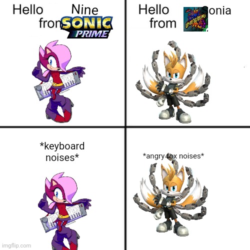 hello person from | Nine; Sonia; *keyboard noises*; *angry fox noises* | image tagged in hello person from | made w/ Imgflip meme maker