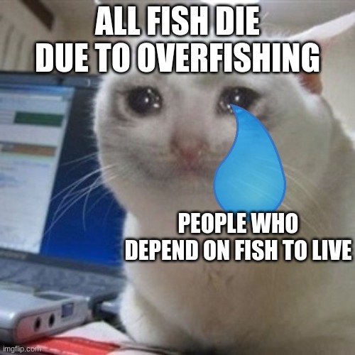 my assignment | ALL FISH DIE DUE TO OVERFISHING; PEOPLE WHO DEPEND ON FISH TO LIVE | image tagged in crying cat | made w/ Imgflip meme maker