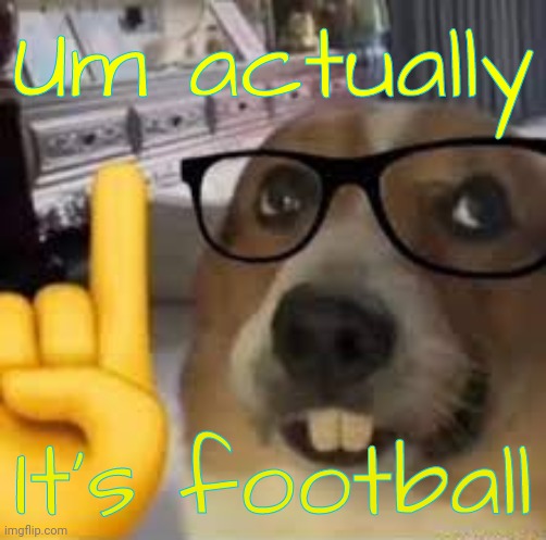 nerd dog | Um actually It's football | image tagged in nerd dog | made w/ Imgflip meme maker