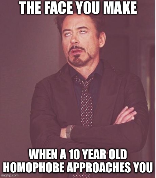 Get the heck away from me | THE FACE YOU MAKE; WHEN A 10 YEAR OLD HOMOPHOBE APPROACHES YOU | image tagged in memes,face you make robert downey jr,relatable memes | made w/ Imgflip meme maker
