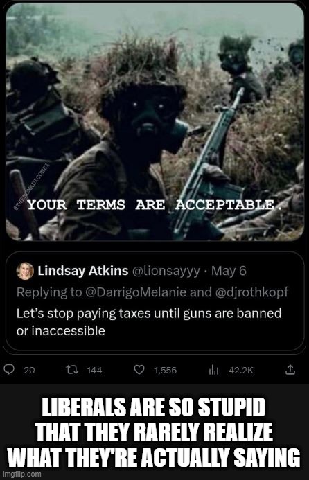 2A isn't going anywhere, so maybe we can dupe Libs into helping us stop govt theft, aka taxes? | LIBERALS ARE SO STUPID THAT THEY RARELY REALIZE WHAT THEY'RE ACTUALLY SAYING | image tagged in liberal logic,stupid liberals,taxation is theft,gun laws,gun control | made w/ Imgflip meme maker