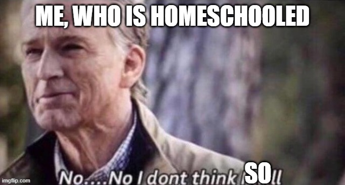 no...no i dont think i will | ME, WHO IS HOMESCHOOLED SO | image tagged in no no i dont think i will | made w/ Imgflip meme maker