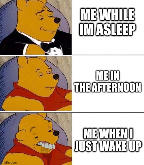 Tuxedo on Top Winnie The Pooh (3 panel) | ME WHILE IM ASLEEP; ME IN THE AFTERNOON; ME WHEN I JUST WAKE UP | image tagged in tuxedo on top winnie the pooh 3 panel | made w/ Imgflip meme maker