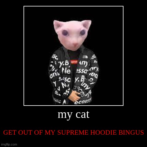 my cat | GET OUT OF MY SUPREME HOODIE BINGUS | image tagged in funny,demotivationals | made w/ Imgflip demotivational maker