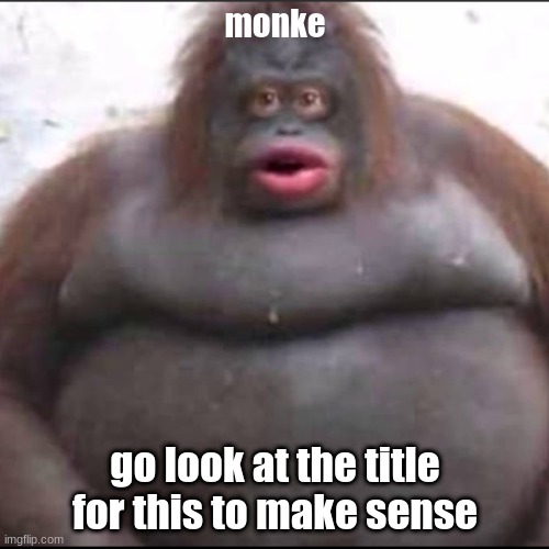 monkey Memes & GIFs - Imgflip