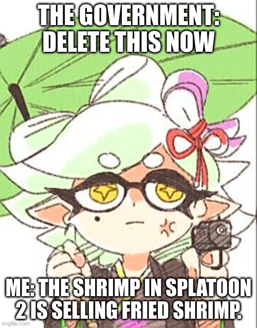 *the FBI is at my door* THE TRUTH MUST BE KNOWN! | THE GOVERNMENT: DELETE THIS NOW; ME: THE SHRIMP IN SPLATOON 2 IS SELLING FRIED SHRIMP. | image tagged in marie with a gun,memes,think about it,splatoon 2 | made w/ Imgflip meme maker