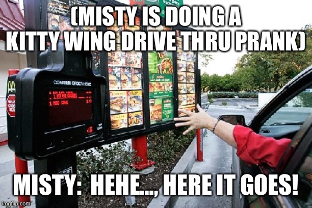 Kitty wing prank | (MISTY IS DOING A KITTY WING DRIVE THRU PRANK); MISTY:  HEHE…, HERE IT GOES! | image tagged in drive thru | made w/ Imgflip meme maker