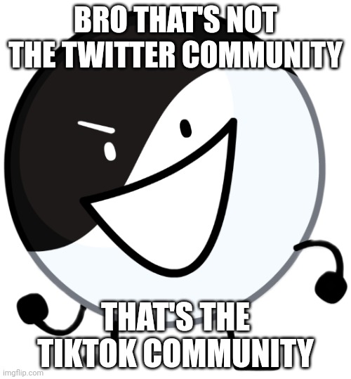 Yin yang | BRO THAT'S NOT THE TWITTER COMMUNITY THAT'S THE TIKTOK COMMUNITY | image tagged in yin yang | made w/ Imgflip meme maker