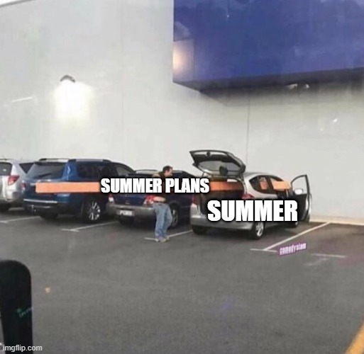 If the days are longer, how come they go by faster? | SUMMER PLANS; SUMMER | image tagged in big wood in small car | made w/ Imgflip meme maker