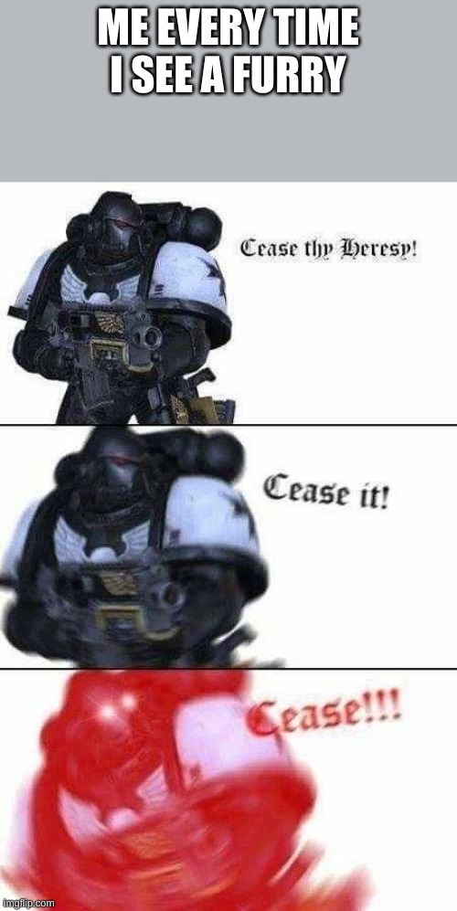 Cease your heresy | ME EVERY TIME I SEE A FURRY | image tagged in cease your heresy | made w/ Imgflip meme maker