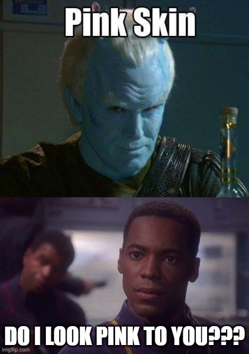 Alien Racism | DO I LOOK PINK TO YOU??? | image tagged in star trek enterprise | made w/ Imgflip meme maker