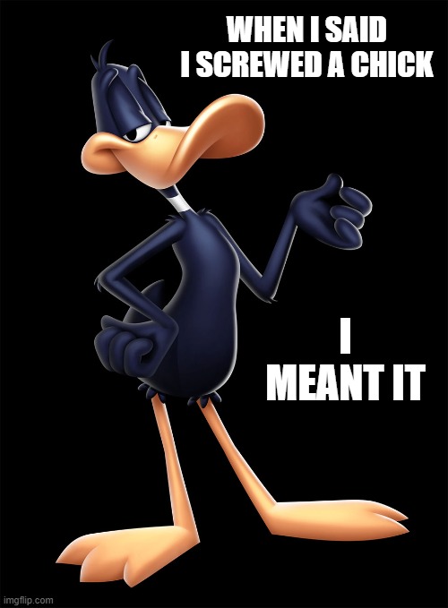 daffy | WHEN I SAID I SCREWED A CHICK; I MEANT IT | image tagged in daffy | made w/ Imgflip meme maker