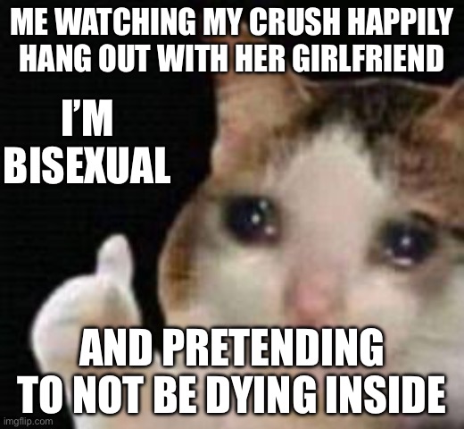 Approved crying cat | ME WATCHING MY CRUSH HAPPILY HANG OUT WITH HER GIRLFRIEND; I’M BISEXUAL; AND PRETENDING TO NOT BE DYING INSIDE | image tagged in approved crying cat | made w/ Imgflip meme maker