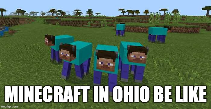 me and the boys | MINECRAFT IN OHIO BE LIKE | image tagged in me and the boys | made w/ Imgflip meme maker
