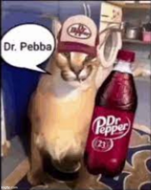 dr pebba | image tagged in dr pebba | made w/ Imgflip meme maker