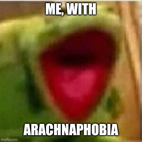 AHHHHHHHHHHHHH | ME, WITH ARACHNAPHOBIA | image tagged in ahhhhhhhhhhhhh | made w/ Imgflip meme maker