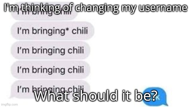 I'm bring chili | I'm thinking of changing my username; What should it be? | image tagged in i'm bring chili | made w/ Imgflip meme maker