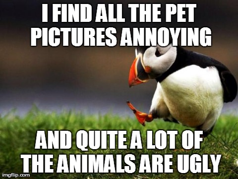 Unpopular Opinion Puffin | I FIND ALL THE PET PICTURES ANNOYING AND QUITE A LOT OF THE ANIMALS ARE UGLY | image tagged in memes,unpopular opinion puffin,AdviceAnimals | made w/ Imgflip meme maker