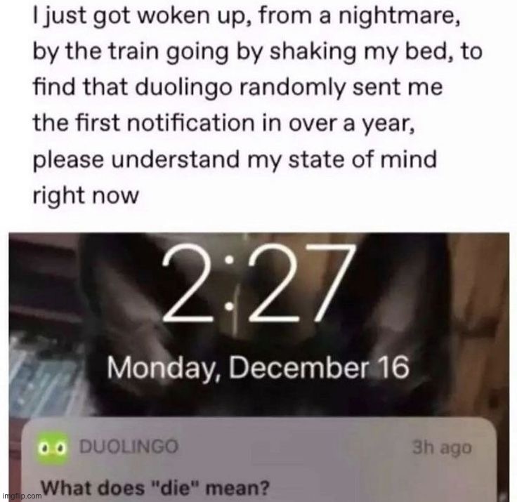 image tagged in memes,funny | made w/ Imgflip meme maker