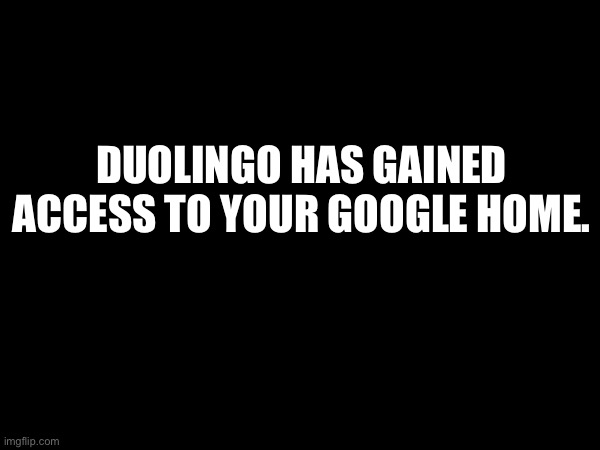 DUOLINGO HAS GAINED ACCESS TO YOUR GOOGLE HOME. | made w/ Imgflip meme maker