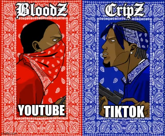 which side are you on | TIKTOK; YOUTUBE | image tagged in which side are you on | made w/ Imgflip meme maker