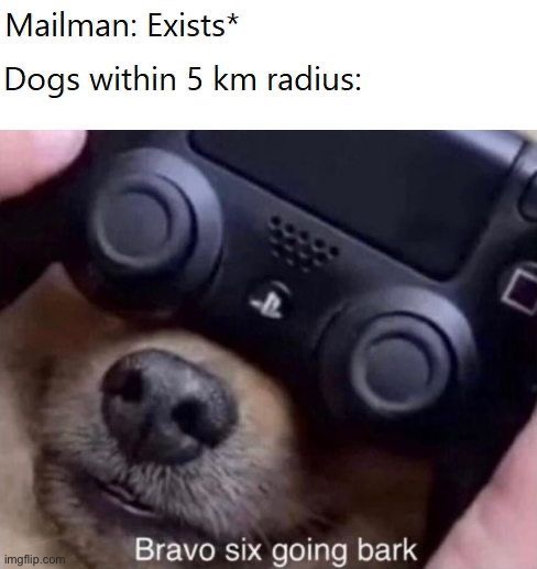 image tagged in memes,funny,dogs | made w/ Imgflip meme maker