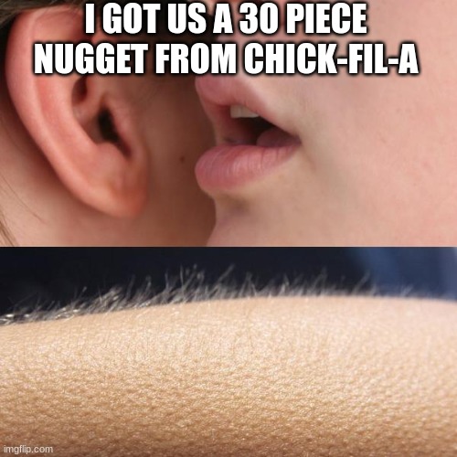 yeah.I work at chick-fil-a | I GOT US A 30 PIECE NUGGET FROM CHICK-FIL-A | image tagged in whisper and goosebumps | made w/ Imgflip meme maker