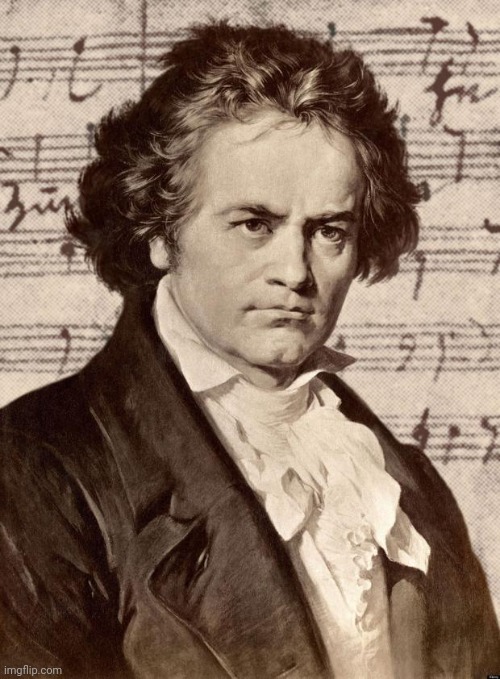 Ludwig van Beethoven | image tagged in ludwig van beethoven | made w/ Imgflip meme maker