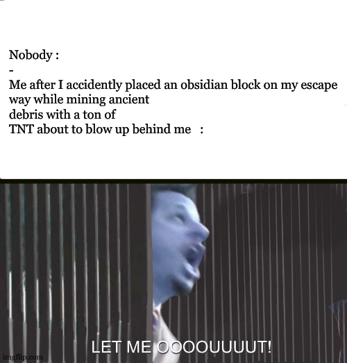 LEMME OUT , PLEAAAASE *blows up* | Nobody :
-
Me after I accidently placed an obsidian block on my escape way while mining ancient debris with a ton of TNT about to blow up behind me   : | image tagged in let me out,minecraft,mining,true story,tnt | made w/ Imgflip meme maker