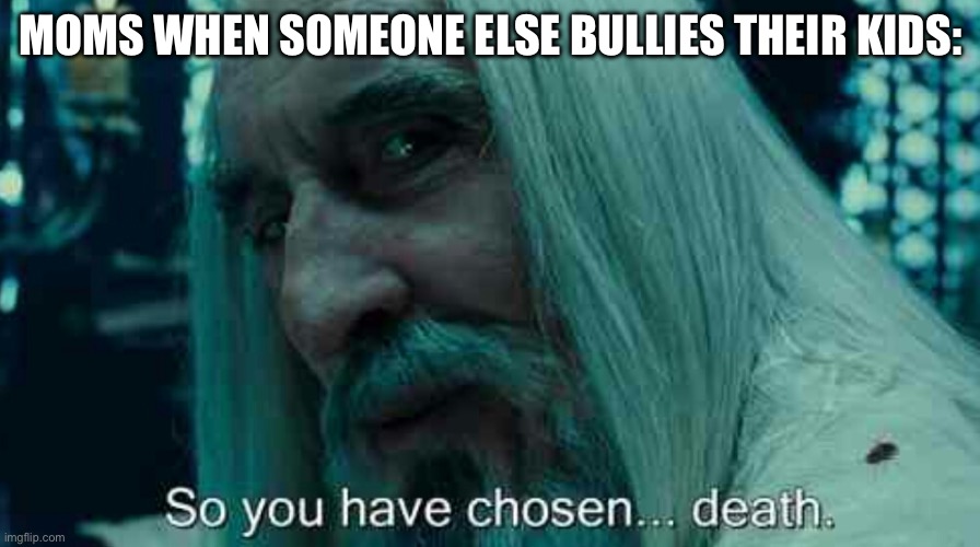 They will go freaking crazy about that | MOMS WHEN SOMEONE ELSE BULLIES THEIR KIDS: | image tagged in so you have chosen death | made w/ Imgflip meme maker