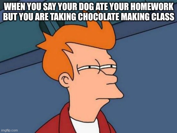 hi | WHEN YOU SAY YOUR DOG ATE YOUR HOMEWORK BUT YOU ARE TAKING CHOCOLATE MAKING CLASS | image tagged in memes,futurama fry | made w/ Imgflip meme maker