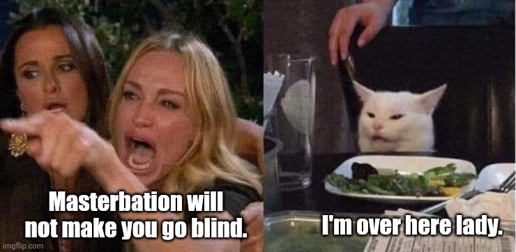 I can't see you! | I'm over here lady. Masterbation will not make you go blind. | image tagged in woman yelling at cat reversed,funny | made w/ Imgflip meme maker