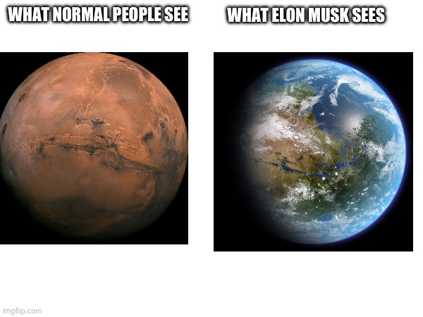 WHAT ELON MUSK SEES; WHAT NORMAL PEOPLE SEE | image tagged in mars | made w/ Imgflip meme maker