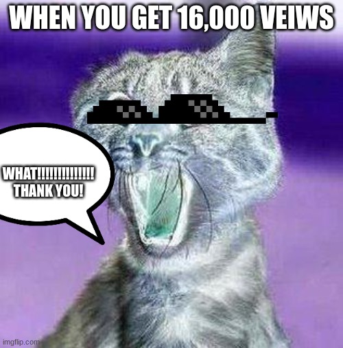 16000 veiws!!!! THANK YOU ALL!!! | WHEN YOU GET 16,000 VEIWS; WHAT!!!!!!!!!!!!!! THANK YOU! | image tagged in shocked cat,wof | made w/ Imgflip meme maker